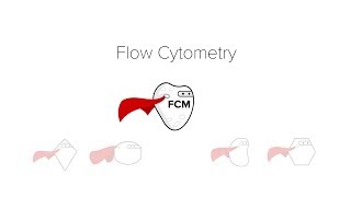 Flow Cytometry [upl. by Solitta]