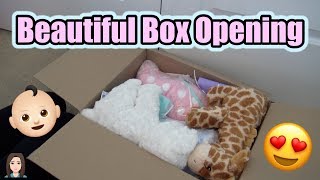 Beautiful Reborn Baby Box Opening Its Twins  Kelli Maple [upl. by Daria]