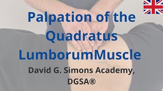 Palpation of the Quadratus Lumborum Muscle [upl. by Alamap]