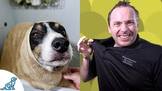 Simple Hacks To Bath Your Dog  Professional Dog Training Tips [upl. by Leirea]