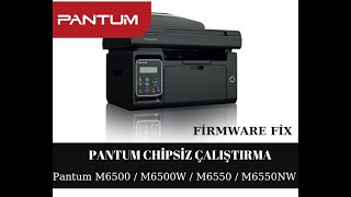 Pantum M6500 M6500W M6550 M6550NW Yazıcı Reset  Firmware Fix [upl. by Lorrac852]