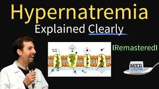 Hypernatremia Explained Types Diagnosis amp Treatment [upl. by Ylrebmik]