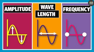 Wavelength Frequency Time Period and Amplitude  Physics [upl. by Noedig]