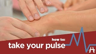 How to take your pulse [upl. by Ramilahs]