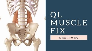 FIX Quadratus Lumborum QL Muscle Back Pain By Following These Exercises amp Tips [upl. by Hurlee]