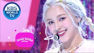 MOMOLAND  Ready Or Not Music Bank  KBS WORLD TV 201120 [upl. by Ivor]