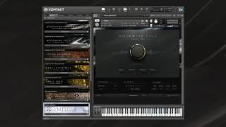 SYMPHONY SERIES  WOODWIND SOLO Playthrough  Native Instruments [upl. by Bengt]