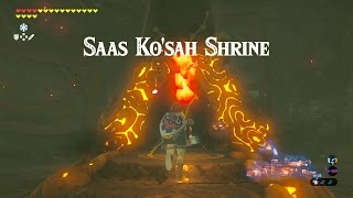 Zelda BOTW  21120 Saas Kosah Shrine Hyrule Castle [upl. by Isyed]