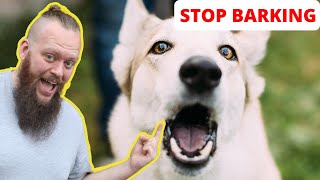 How to Train Your Dog to STOP BARKING at EVERYTHING [upl. by Ahsinert]