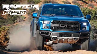 Ford F150 Raptor Extreme OffRoad Review  Carfection 4K [upl. by Vandyke]