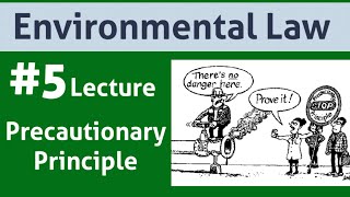 Environmental Law Lecture 5Precautionary Principle [upl. by Curhan77]