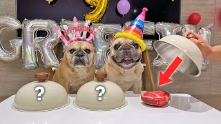 How To Celebrate A French Bulldogs 63rd BIRTHDAY [upl. by Elleinaj]