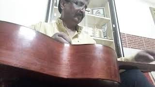 Film Piku sarod theme music played in hawaiian guitar by Rajendra Goswami [upl. by Tolmann]