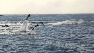 Flyboard Family Official [upl. by Saloma]