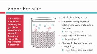 Evaporation Vapor Pressure and Boiling [upl. by Tomasz389]