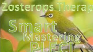 ZOSTEROPS THERAPY amp SMART MASTERING [upl. by Ynotna]