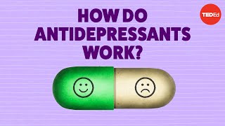 How do antidepressants work  Neil R Jeyasingam [upl. by Clarkin133]