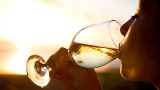 A winelovers guide to Pinot Grigio  The World of Wine [upl. by Fleisher358]