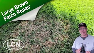 How To Fix Brown Patch amp Large Patch In St Augustine Zoysia and Tall Fescue with The Lawn Care Nut [upl. by Dnomso]