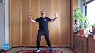 Tai Chi for Arthritis Movements for Beginners [upl. by Forrest326]