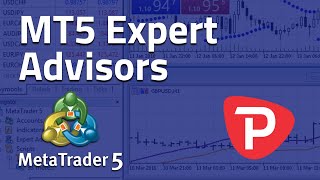 How to use Expert Advisor MetaTrader 5 [upl. by Atteinotna542]