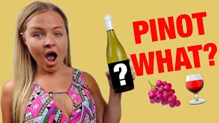 Pinot Grigio vs Pinot Gris  Best Sweet Wines for Beginners [upl. by Acinomad]