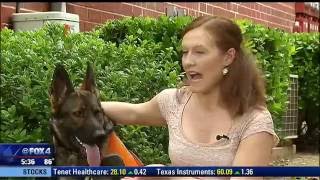 Woman service dog turned away at McKinney Albertsons [upl. by Volny]