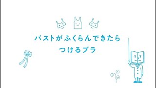 ワコールジュニア「バストがふくらんできたらつけるブラ」のご紹介 [upl. by Lozano183]