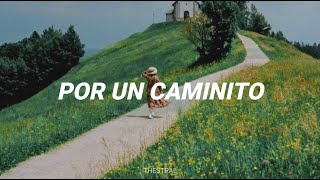 Por un caminito  Leo Dan  LETRA [upl. by Aciraa161]