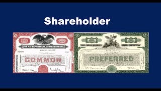 What is a Shareholder [upl. by Moffit603]