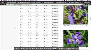 Iris Dataset EDA Lecture1 Applied AI Course [upl. by Jardena]