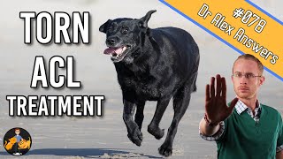 The Best Torn Dog ACL Treatment  Surgery or Home Management  Dog Care Vet Advice [upl. by Venterea]