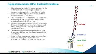 Bacterial Endotoxin Testing History InhibitionEnhancement and Process Control [upl. by Anirazc]