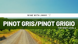 Key Grape Varieties  Pinot GrisPinot Grigio Beginners Version for WSET Level 1 and WSET Level 2 [upl. by Ajile]