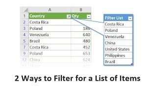 Get Filtered 2 Ways To Filter For A List Of Items In Excel [upl. by Rolecnahc]