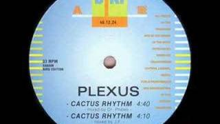 plexus cactus rhythm [upl. by Nordna486]