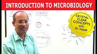 Introduction to Microbiology [upl. by Enellek]