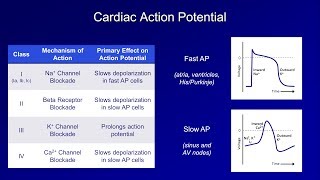 Antiarrhythmics Lesson 1  An Introduction [upl. by Odelinda]