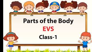 Parts Of The Body EVS Class 1 My Body [upl. by Aret301]