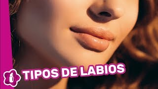 Tipos de labios conoce la forma de tu sonrisa [upl. by Ardie]