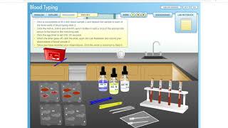 Virtual Blood Typing Lab [upl. by Kannav313]