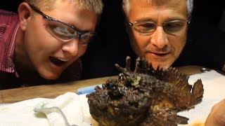 Milking the WORLDS MOST VENOMOUS FISH  Smarter Every Day 117 [upl. by Amees]