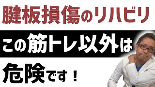 【わかりやすい】腱板損傷でやるべきインナーマッスルの筋トレ【腱板断裂 リハビリ】 [upl. by Gowrie912]