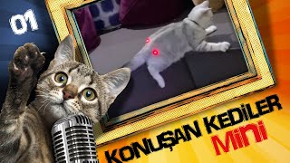 Konuşan Kediler Mini 1  En Komik Kedi Videoları [upl. by Sherer]