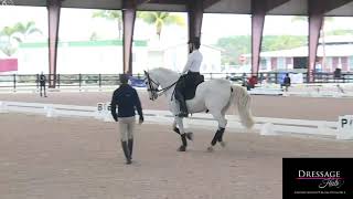 Robert Dover How To Collect the Canter [upl. by Noelle]