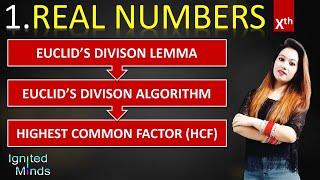 Euclid’s Division Lemma  Algorithm  HCF  Class 10th  Real Numbers [upl. by Airda]