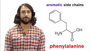 Amino Acids [upl. by Ecraep]