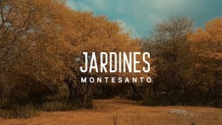 Jardines VideoLyric  Montesanto [upl. by Obara]