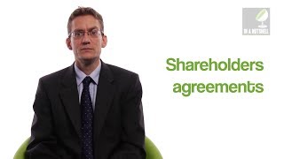 Shareholders agreements  In a nutshell [upl. by Anneirda]