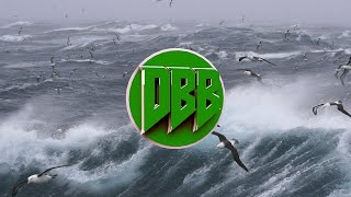 AronChupa  Im an Albatraoz Bass Boosted 1080p [upl. by Nnov810]